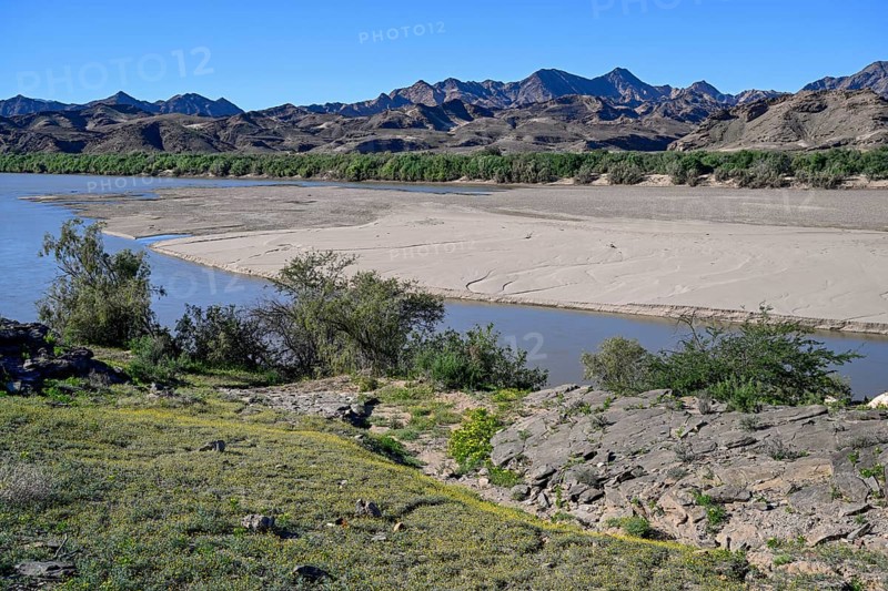 Blooming landscape at the Oranje River, near Oranjemund, Karas Region, Namibia