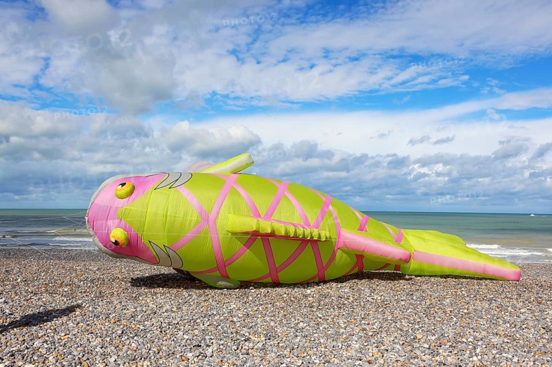 Kite festival on the beach, international kite festival, kite in the shape of a fish lies on the beach, Dieppe, Normandy, France
