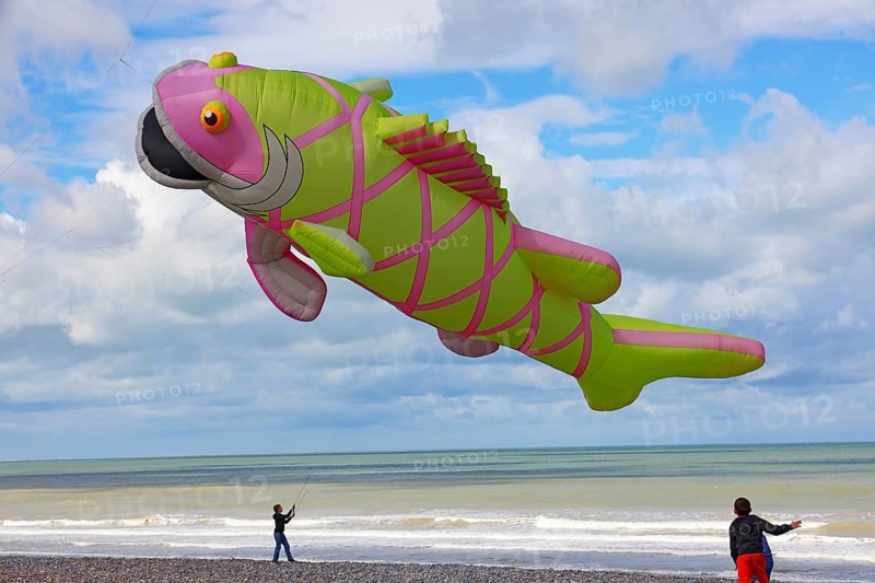 Kite festival on the beach, international kite festival, kite in the shape of a fish, Dieppe, Normandy, France