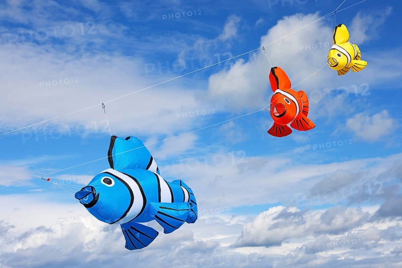 Kite festival, international kite festival, kites in the shape of fish, Dieppe, Normandy, France