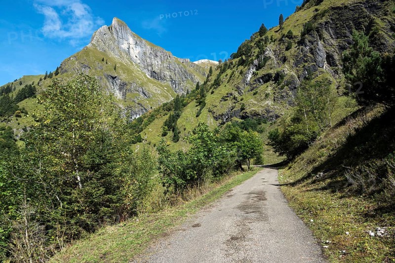 Driveway, hiking trail to Käser Alpe, behind Himmelhorn, Oytal, near Oberstdorf, Oberallgäu, Allgäu, Bavaria, Germany