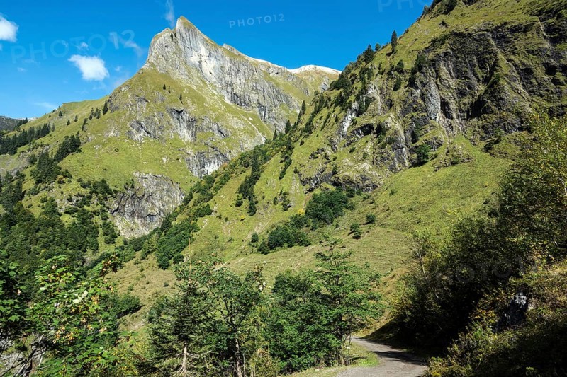 Driveway, hiking trail to Käser Alpe, behind Himmelhorn, Oytal, near Oberstdorf, Oberallgäu, Allgäu, Bavaria, Germany