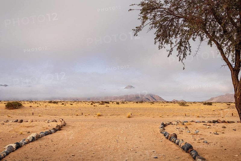 Sossusvlei, Namibia – A surreal landscape of dunes and resilient desert plants