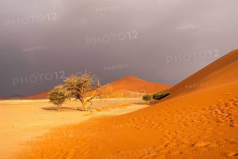 Big Daddy Dune & Deadvlei, Namibia – Towering red dune above Deadvlei's ancient dead camelthorn trees and white clay pan
