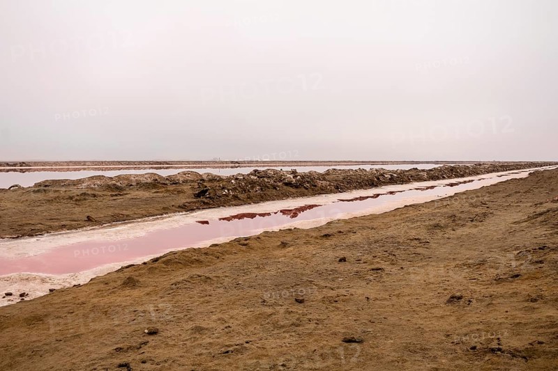 Pink salt flats with mineral-rich water in Sandwich Harbour, Namib-Naukluft National Park, Namibia. Rugged desert landscape with unique colors and textures, permit required to visit