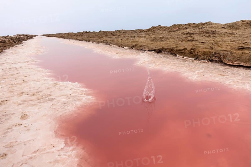Pink salt flats with mineral-rich water in Sandwich Harbour, Namib-Naukluft National Park, Namibia. Rugged desert landscape with unique colors and textures, permit required to visit