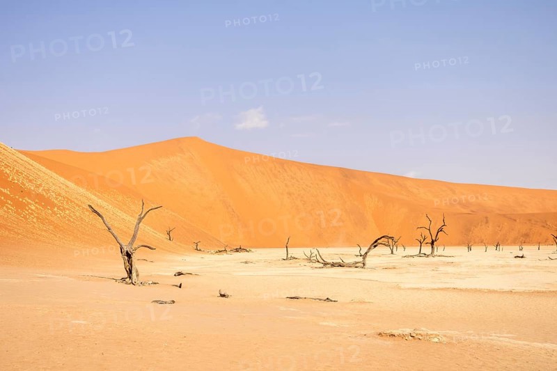 Big Daddy Dune & Deadvlei, Namibia – Towering red dune above Deadvlei's ancient dead camelthorn trees and white clay pan
