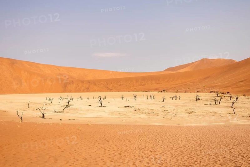 Big Daddy Dune & Deadvlei, Namibia – Towering red dune above Deadvlei's ancient dead camelthorn trees and white clay pan