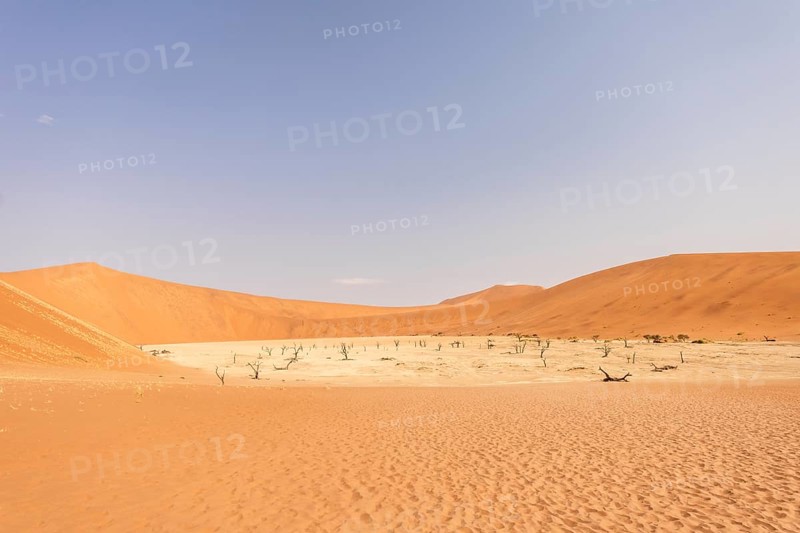 Big Daddy Dune & Deadvlei, Namibia – Towering red dune above Deadvlei's ancient dead camelthorn trees and white clay pan