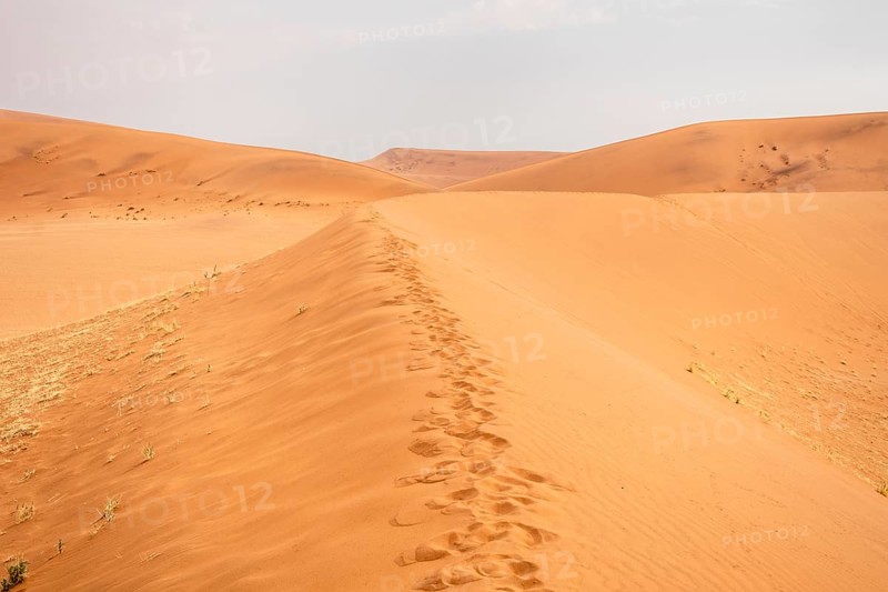 Sossusvlei in Namibia is a desert wonder, famous for its giant red dunes, glowing at sunrise and sunset, and its hauntingly beautiful dead tree valleys