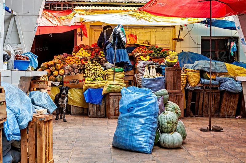 A colourful marketplace full of fruit and vegetables with a dog standing between wooden crates, market stall selling goods in the market halls of Potosi in Bolivia