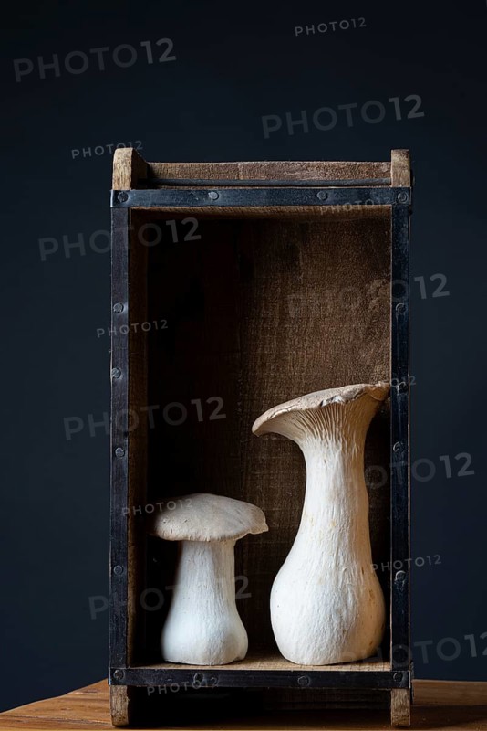 Seitlings in a wooden box against a dark background