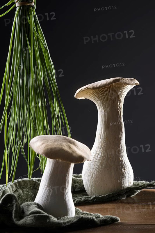oyster mushrooms with chives against a dark background