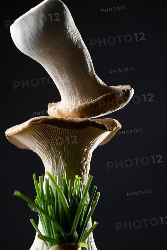 oyster mushrooms with chives against a dark background