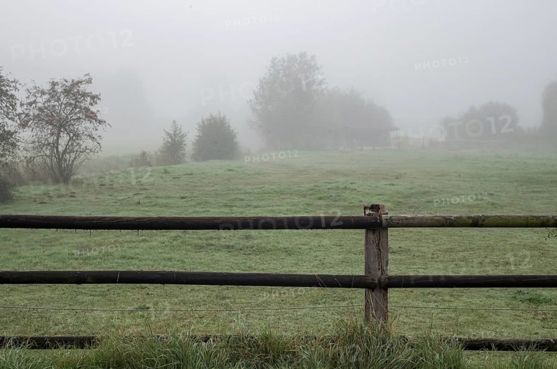 Fog covering a green farming field with a rustic wooden fence in the foreground