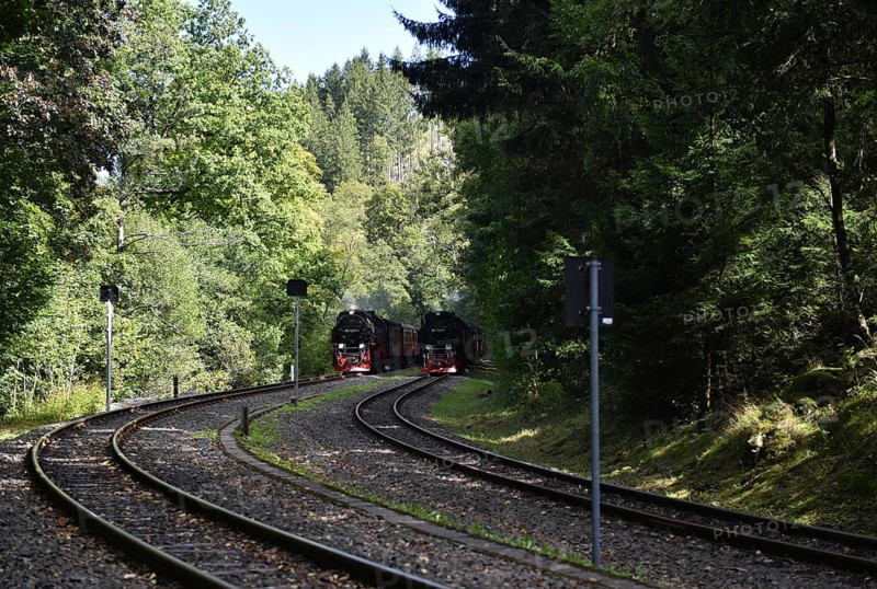 Double run, parallel run, double exit of two steam locomotives of the Harz narrow-gauge railway, Saxony-Anhalt, Germany