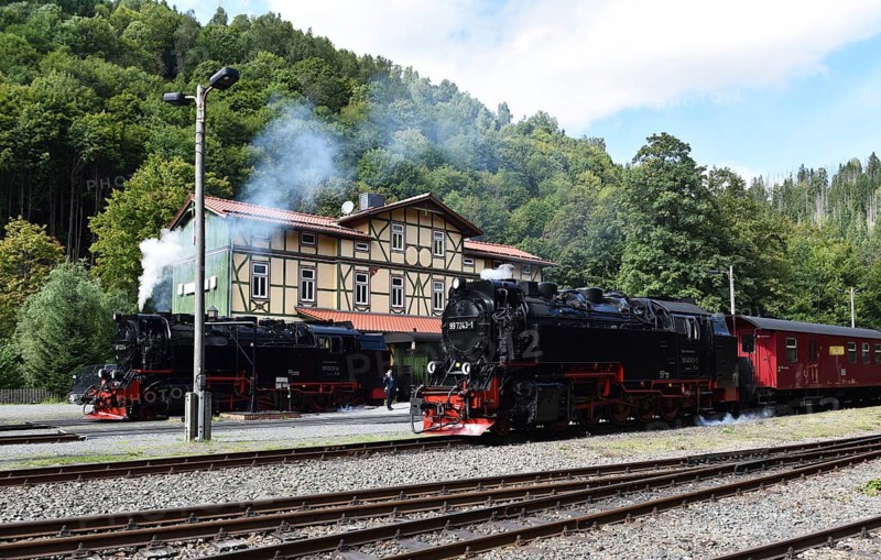 Two steam locomotives of the Harz narrow-gauge railway stand at Eisfelder Talmühle station, Thuringia, Germany