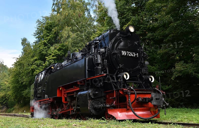 Steam locomotive of the Harz narrow gauge railway, Saxony-Anhalt, Germany