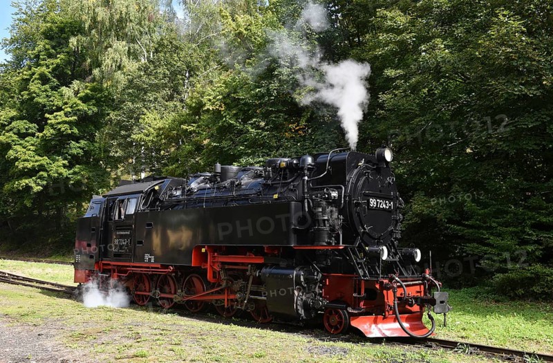 Steam locomotive of the Harz narrow gauge railway, Saxony-Anhalt, Germany