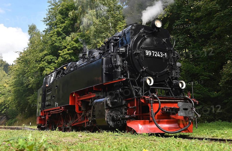 Steam locomotive of the Harz narrow gauge railway, Saxony-Anhalt, Germany