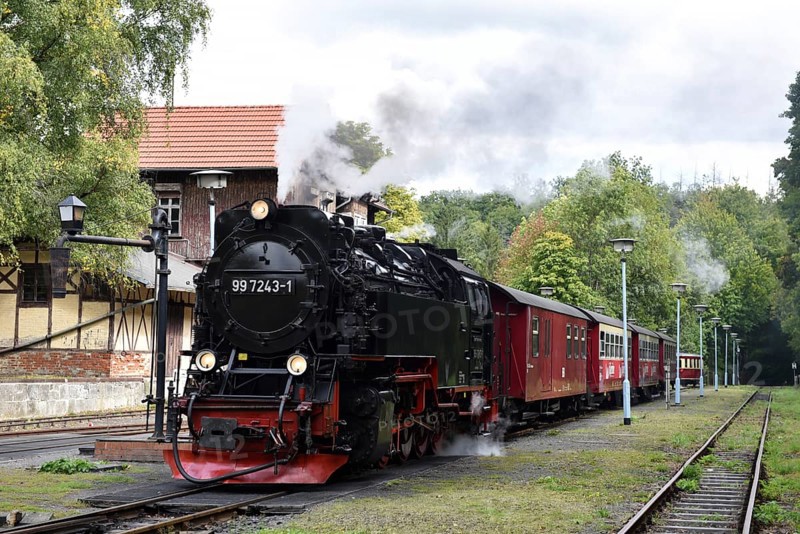 Rail bus, railcar T1 and steam locomotive of the Harz narrow-gauge railway at Alexisbad station, Saxony-Anhalt, Germany