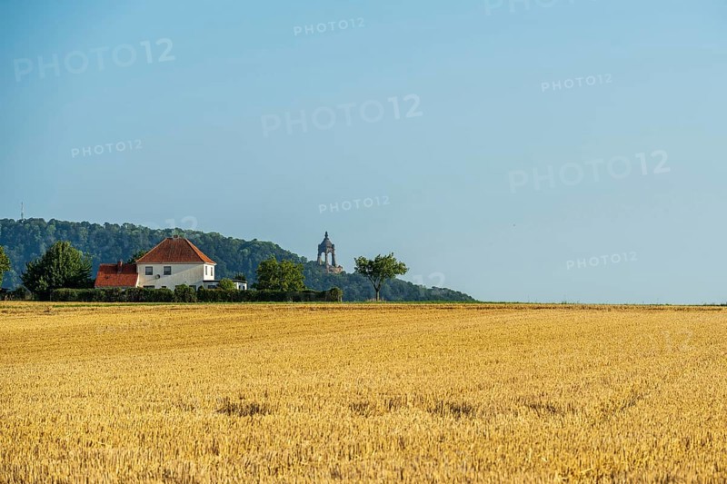 Summer landscape with a wheat field, a house with a red roof and a tower on a hill in the background, Kaiser Wilhelm Monument, Holzhausen, Porta-Westfalica, North Rhine-Westphalia