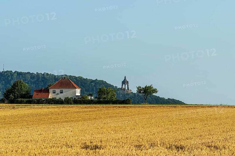 Summer landscape with a wheat field, a house with a red roof and a tower on a hill in the background, Kaiser Wilhelm Monument, Holzhausen, Porta-Westfalica, North Rhine-Westphalia