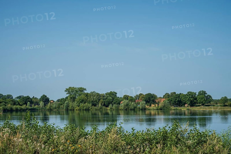 A calm river with green trees and a clear sky reflects the peaceful atmosphere of nature, Weser near Buchholz, Petershagen, North Rhine-Westphalia
