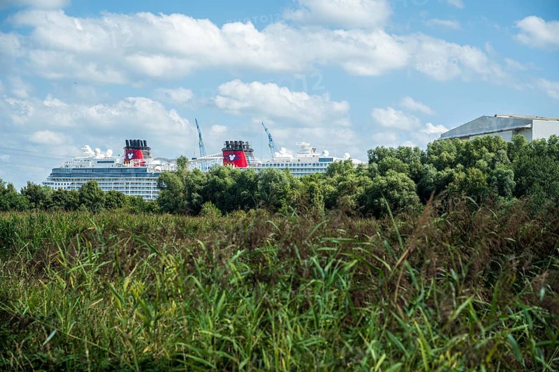 A cruise ship hides behind green trees in front of a blue sky with clouds, cruise ship in the shipyard of Papenburg