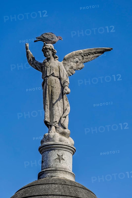 Angel figure with dove, Recoleta cemetery, Buenos Aires, capital of Argentina