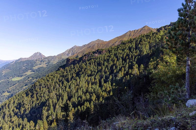 Landscape panorama, Mountain forest, Mountain pines, Autumnal, Uttendorf Pinzgau