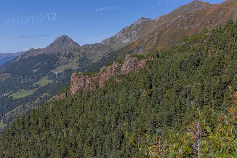 Landscape panorama, Mountain forest, Mountain pines, Autumnal, Uttendorf Pinzgau