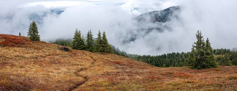 Colourful landscape with fog in autumn, Schladminger Tauern, Schladming, Styria, Austria