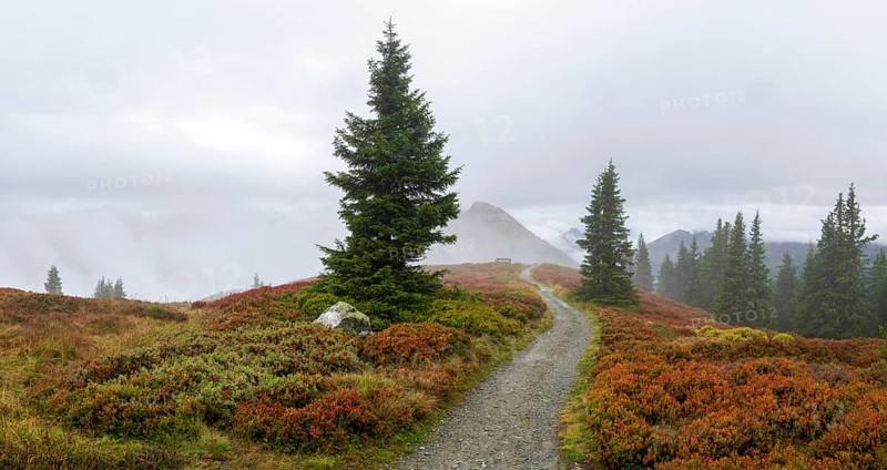 Hiking trail through colourful landscape with fog in autumn, Schladminger Tauern, Schladming, Styria, Austria