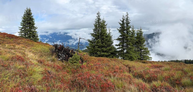 Colourful landscape with fog in autumn, Schladminger Tauern, Schladming, Styria, Austria