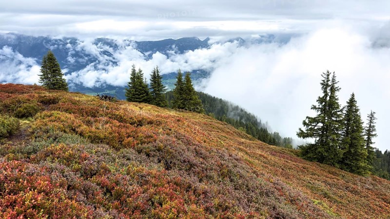 Colourful landscape with fog in autumn, Schladminger Tauern, Schladming, Styria, Austria