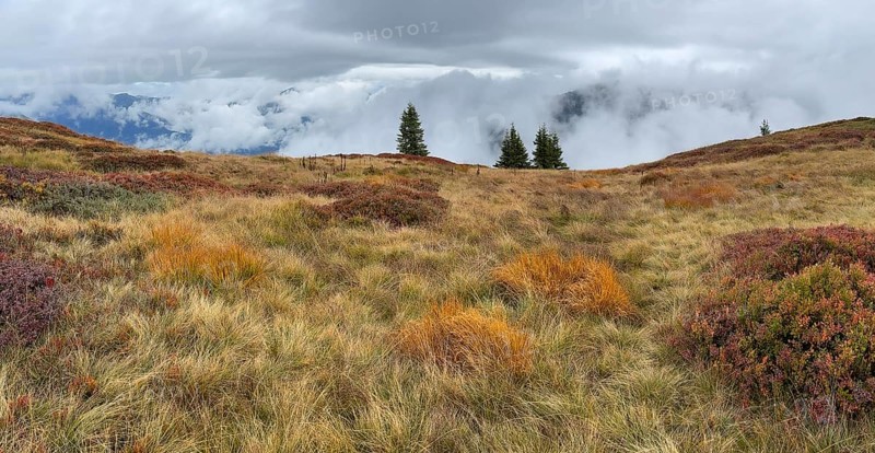 Colourful landscape with fog in autumn, Schladminger Tauern, Schladming, Styria, Austria