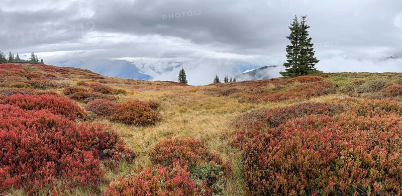 Colourful landscape with fog in autumn, Schladminger Tauern, Schladming, Styria, Austria