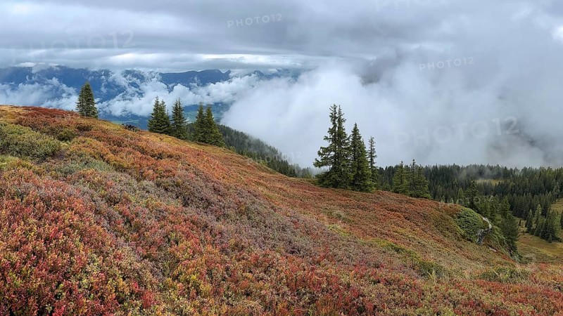 Colourful landscape with fog in autumn, Schladminger Tauern, Schladming, Styria, Austria