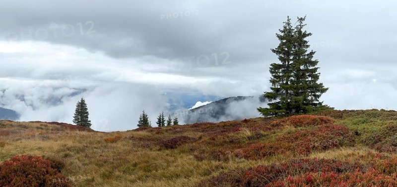 Colourful landscape with fog in autumn, Schladminger Tauern, Schladming, Styria, Austria