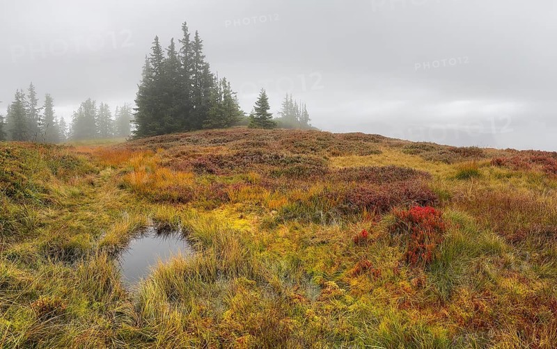 Colourful landscape with fog in autumn, Schladminger Tauern, Schladming, Styria, Austria