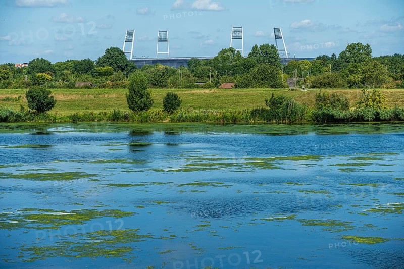 River with algae in the foreground, surrounded by trees and grass under a blue sky. A stadium can be seen in the background, Weser cycle path, Weser, floodlight masts Weserstadion, Bremen