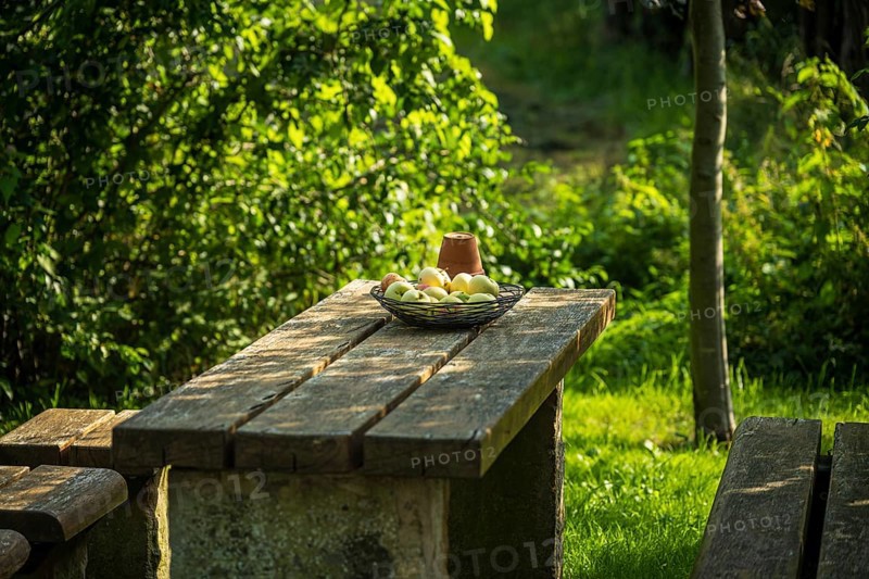 Wooden bench and table in the garden with fruit bowl, surrounded by lush greenery and sunlight, Bücken, district of Nienburg Weser, Lower Saxony