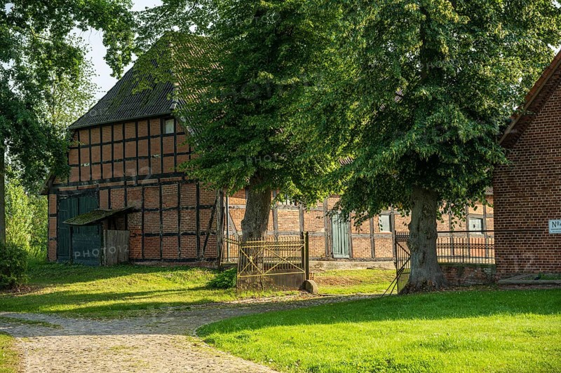 Half-timbered house in a rural setting with trees and green lawn in the sunlight, Bücken, Nienburg Weser district, Lower Saxony