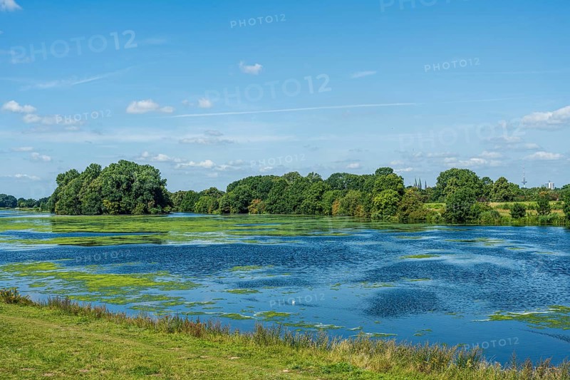 An expansive river landscape with algae in the water and green meadows, Weser cycle path, Weser, Werdersee, Neustadt, Bremen, Bremen, Germany