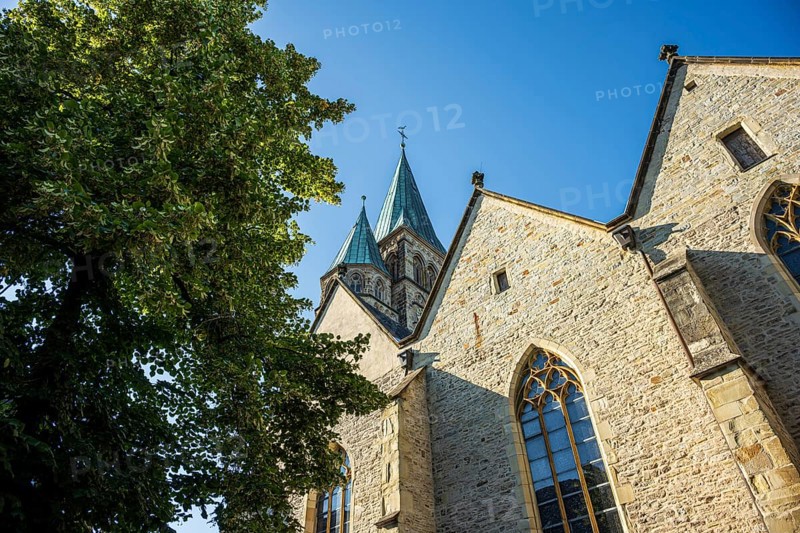 Gothic church with high towers and brick façade under a blue sky next to a large tree, St Laurentius Church in Warendorf, Münsterland, North Rhine-Westphalia