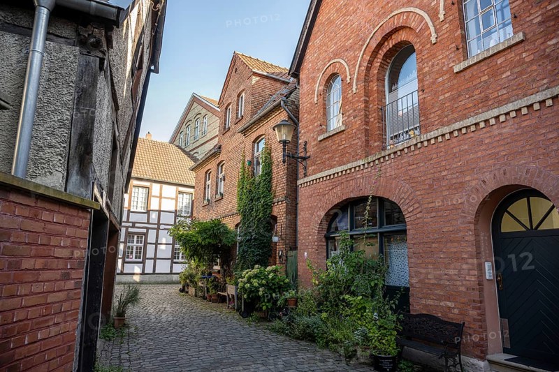 Narrow alley with red brick houses and lush plants on a sunny day, Warendorf, Münsterland, North Rhine-Westphalia