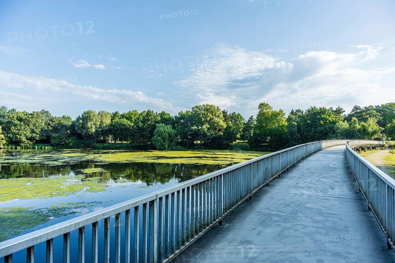 Bridge over a quiet river, surrounded by green trees and blue sky with clouds, Emssee near Warendorf, Münsterland