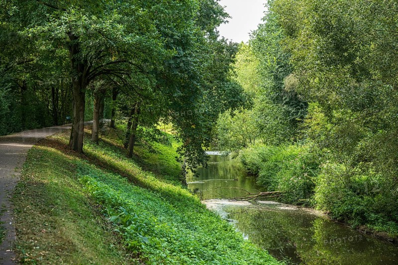 Quiet forest path along a river with densely overgrown trees in summer, Senden, Münsterland, North Rhine-Westphalia, Germany
