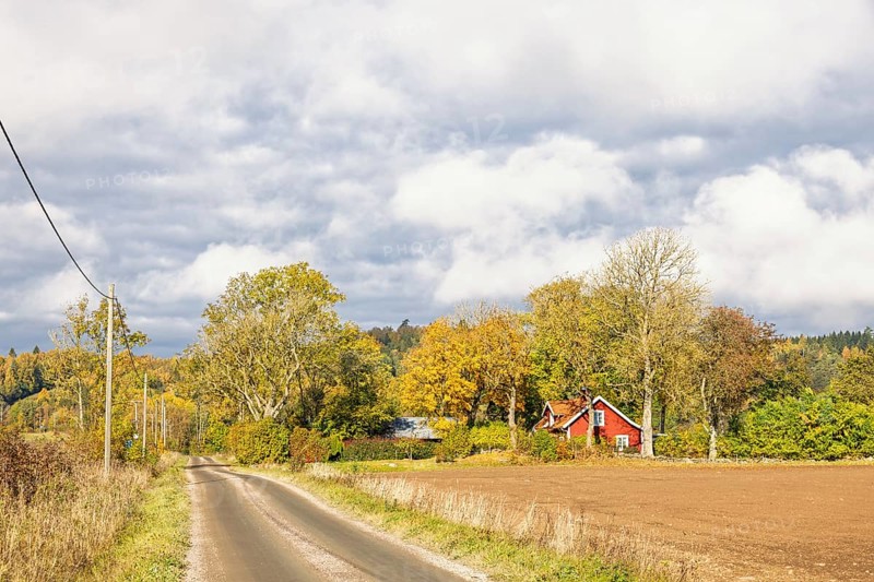 Gravel road to a farmhouse in a grove of trees in the countryside with beautiful autumn colors on the trees, Sweden